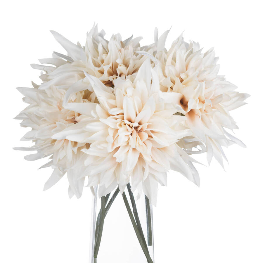 19571-c